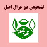 تشخیص چای دوغزال اصل